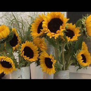 RUSTIC 🌻 SUNFLOWERS